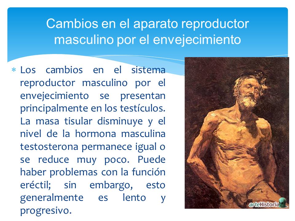 Todas las ex licitaciones para el aumento del pene